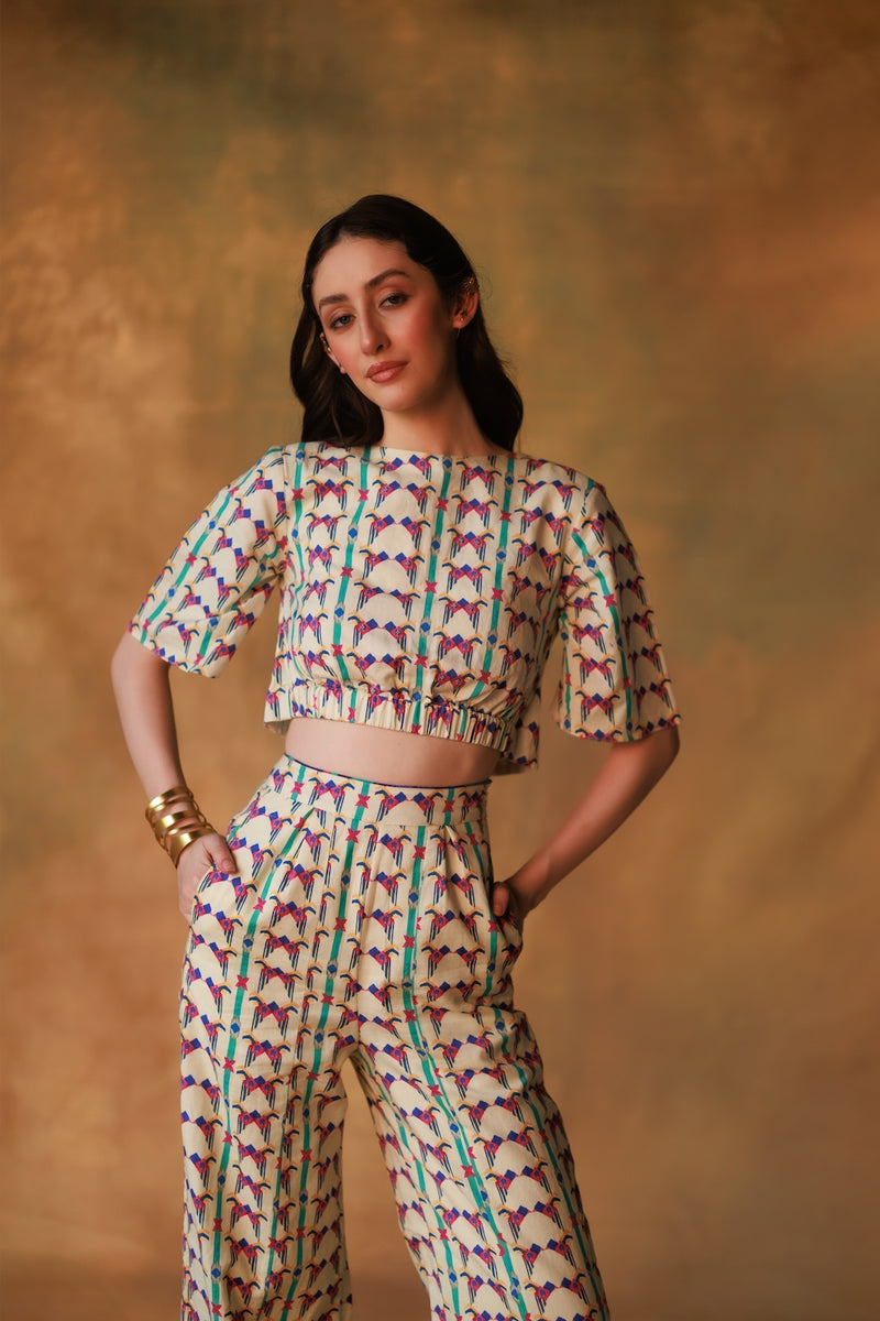 Chasing That One Bird Coord Set